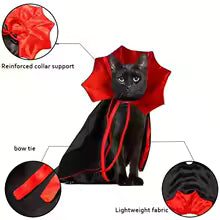 Pet costume "Bat"