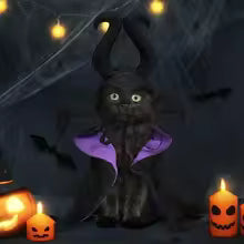 Pet costume "Vampire"